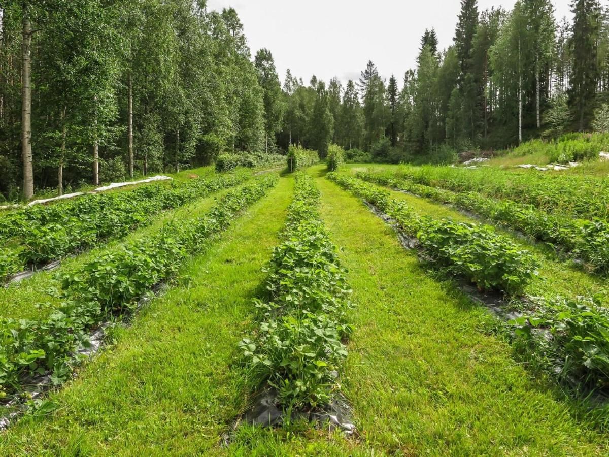 Дома для отпуска Holiday Home Villa lähde Соткамо-5