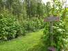 Дома для отпуска Holiday Home Villa lähde Соткамо-5